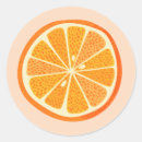 Search for orange fruit craft supplies Summer