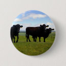 Search for cattle badges Field