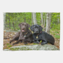 Search for labrador retriever tea towels Pets