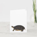 Search for terrapin postcards Sea