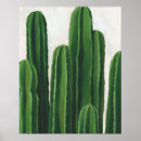 Search for pura vida posters Tropical