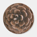 Search for pine cones magnets Brown