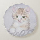 Search for tabby cat cushions Kitten