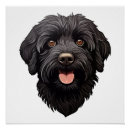Search for labradoodle dog posters Cute