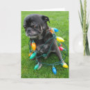 Search for dog rescue christmas cards Pug