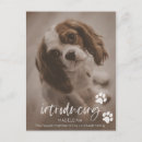 Search for adopt cards invites Puppy
