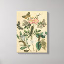 Search for vision canvas prints Flowers