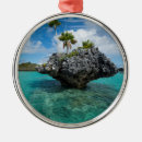 Search for fiji christmas tree decorations Coastline