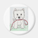 Search for collar magnets White