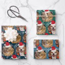 Search for santa head wrapping paper Cute