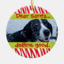 Search for candy cane christmas tree decorations Animal