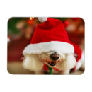 Search for bichon christmas cards Puppy