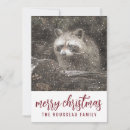 Search for forest animals christmas cards Racoon