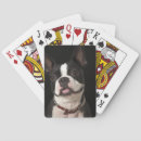 Search for collar playing cards Dog