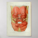 Search for grotesques posters Face