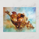 Search for florida seashells horizontal postcards Watercolor