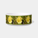 Search for summer pet supplies Pretty
