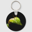 Search for mantis key rings Green