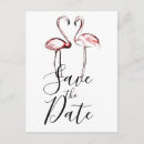 Search for pink flamingo save the dates Tropical