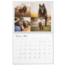Search for belgian photography Dog