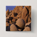 Search for joshua tree badges Landscape