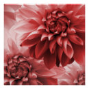 Search for dahlia flower posters Vibrant