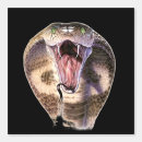 Search for cobra snake art Snakes