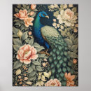 Search for peacock posters Floral