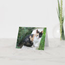 Search for quirky note cards Cat