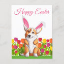 Search for cute easter bunny postcards Dog