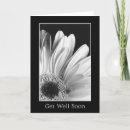 Search for gerbers photography Daisies