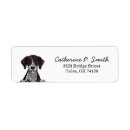 Search for german wirehaired pointer Pet