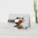 Search for birdwatcher cards Funny