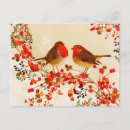 Search for cardinal bird christmas cards Rustic