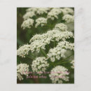 Search for queen quotes cards Inspirational