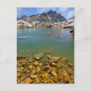 Search for ansel adams wilderness postcards Don paulson