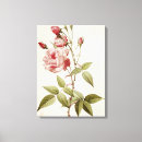 Search for redoute canvas prints Joseph