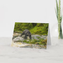 Search for british columbia cards Cathy