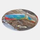 Search for tackle box stickers Lure