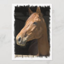 Search for thoroughbreds invitations Equine