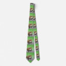 Search for pond ties Amphibian