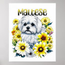 Search for dog owner posters Cute puppy