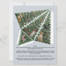 Search for orange tree christmas cards Cat