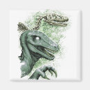 Search for raptor magnets Jurassic