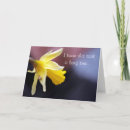 Search for snail cards Belated