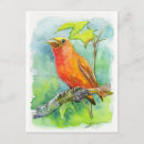 Search for robin painting postcards Cute
