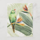 Search for foilage postcards Palms