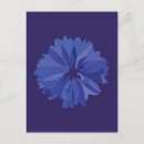 Search for cornflower blue postcards Pattern
