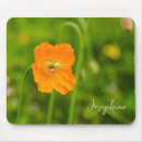 Search for orange flower mouse mats Botanical