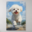 Search for bichons posters Poodle